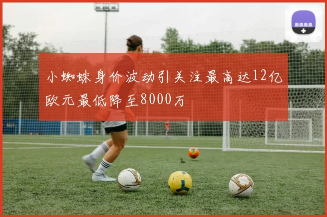 小蜘蛛身价波动引关注最高达12亿欧元最低降至8000万