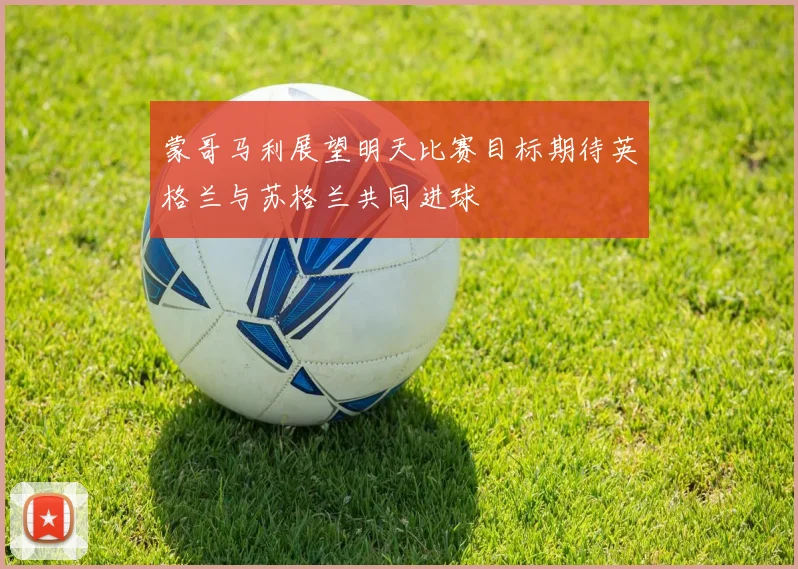 蒙哥马利展望明天比赛目标期待英格兰与苏格兰共同进球