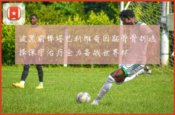 波黑前锋塔巴科维奇因跖骨骨折选择保守治疗全力备战世界杯